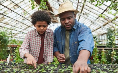 Farm Campus Feasibility Study Moves a Dream Forward
