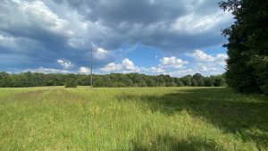 Picture of grass pasture at farm campus with blue sky and white clouds above