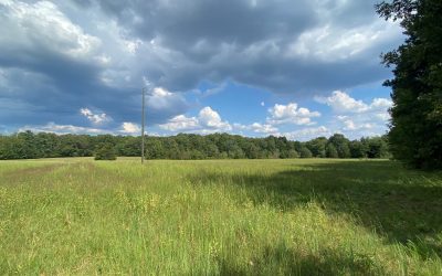 Durham Extension Awarded $475,000 Golden LEAF Grant for Farm Campus Project